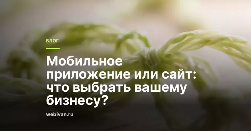 Мобильное приложение или сайт: что выбрать бизнесу